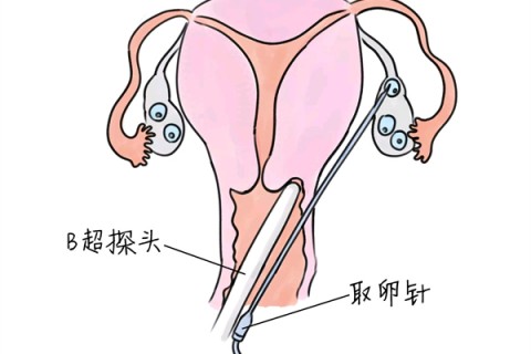 http://yantai.huochezhan.net/post/205.html|烟台供卵助孕