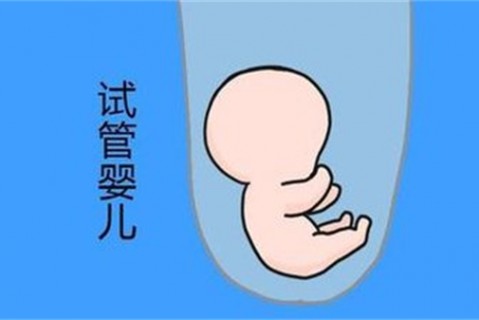培养烟台捐卵宝宝艺术细胞的小技巧