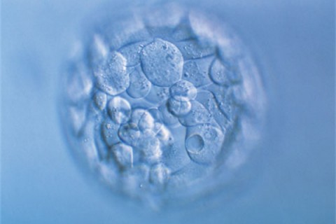 http://yantai.huochezhan.net/post/200.html|烟台新闻中心